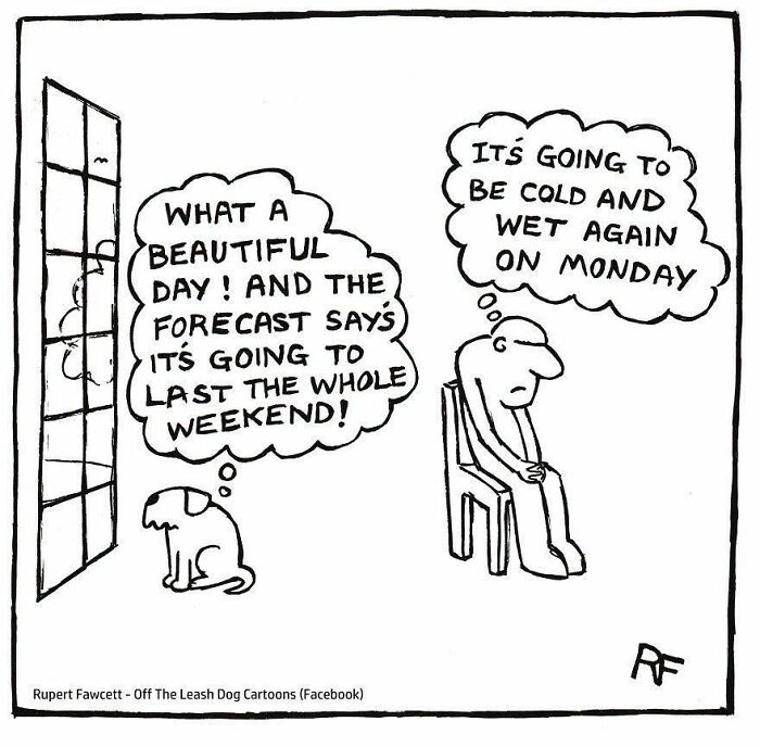 36 New &ldquo;Off The Leash&rdquo; Comics That Perfectly Capture Life With Dogs