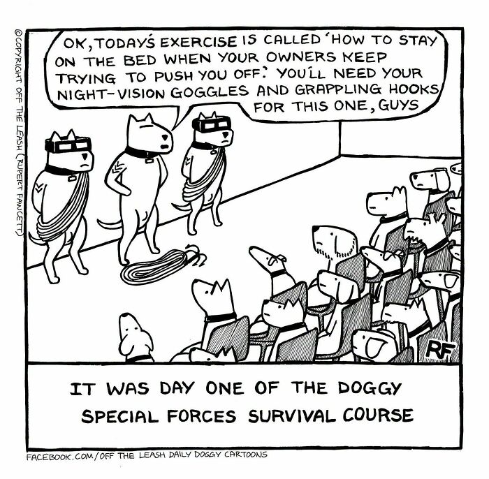36 New &ldquo;Off The Leash&rdquo; Comics That Perfectly Capture Life With Dogs