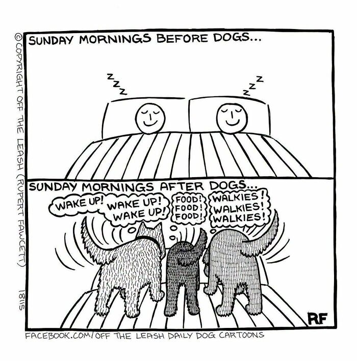 36 New &ldquo;Off The Leash&rdquo; Comics That Perfectly Capture Life With Dogs