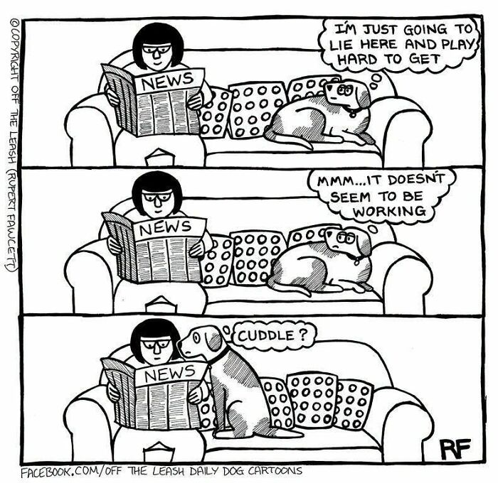36 New &ldquo;Off The Leash&rdquo; Comics That Perfectly Capture Life With Dogs