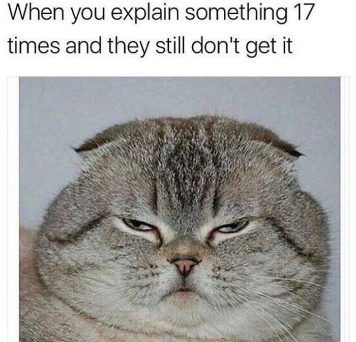 30 Hilarious Animal Memes That Prove Pets Are Natural Comedians, As Shared By This Page