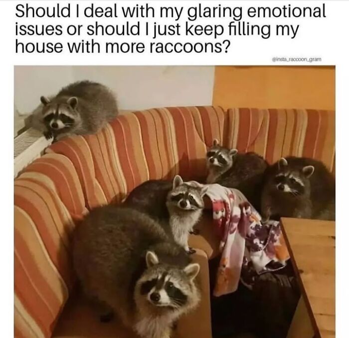 30 Hilarious Animal Memes That Prove Pets Are Natural Comedians, As Shared By This Page
