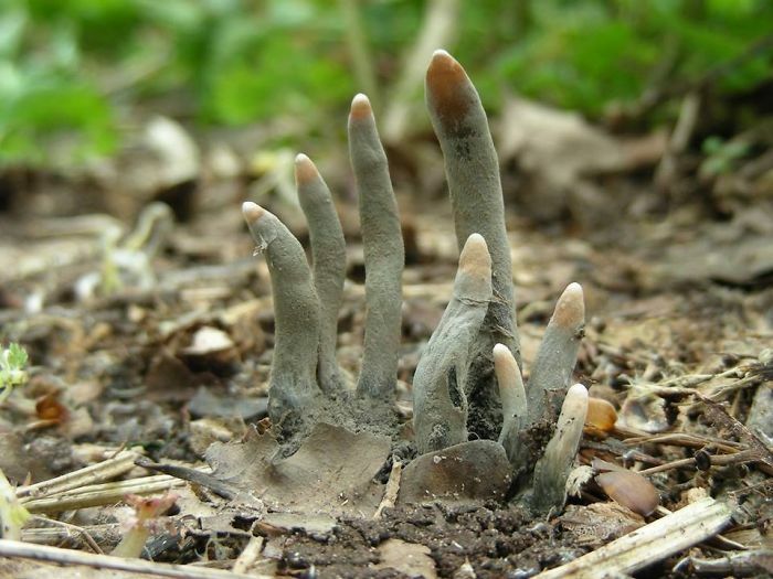 67 Cursed Images That Might Make You Want To Take A Shower With Holy Water