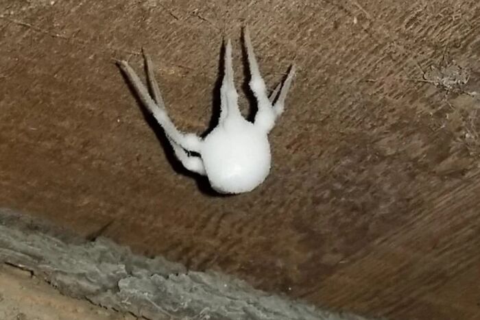 67 Cursed Images That Might Make You Want To Take A Shower With Holy Water