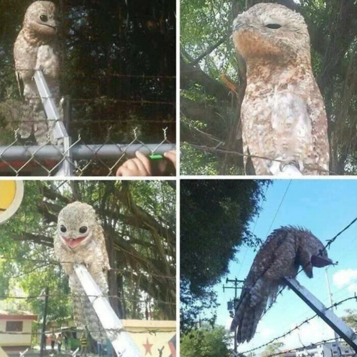 67 Cursed Images That Might Make You Want To Take A Shower With Holy Water