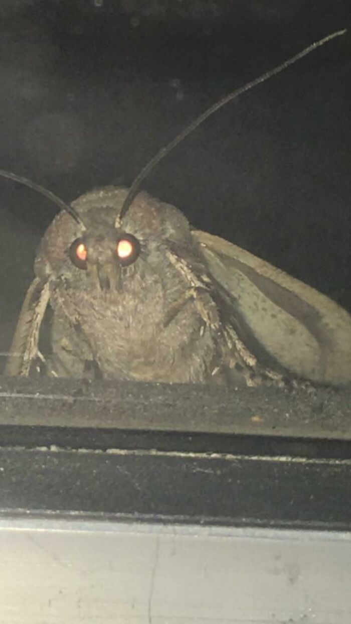 67 Cursed Images That Might Make You Want To Take A Shower With Holy Water