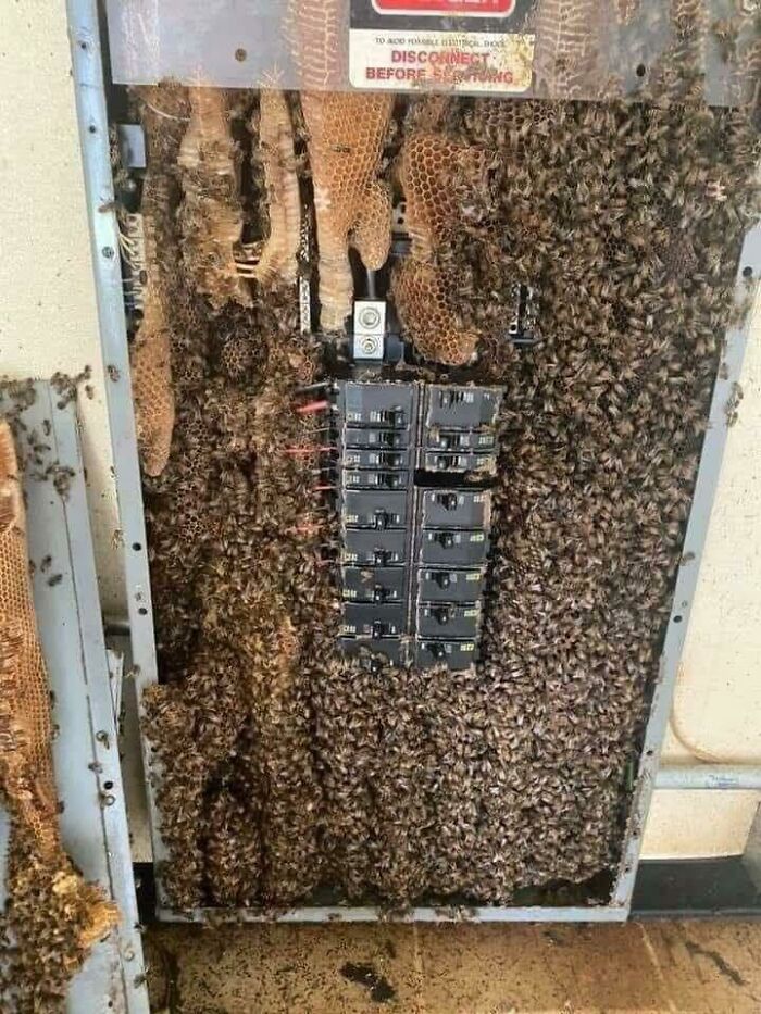 67 Cursed Images That Might Make You Want To Take A Shower With Holy Water