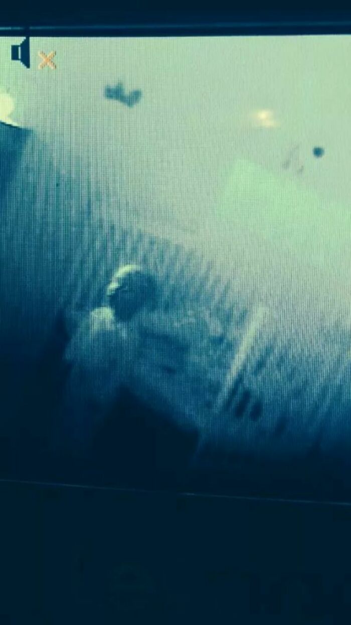 67 Cursed Images That Might Make You Want To Take A Shower With Holy Water