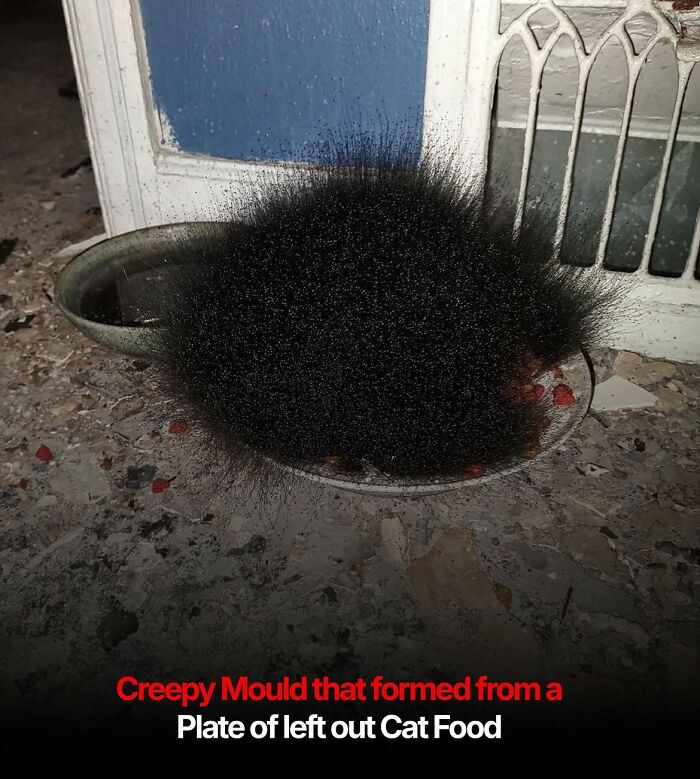 67 Cursed Images That Might Make You Want To Take A Shower With Holy Water