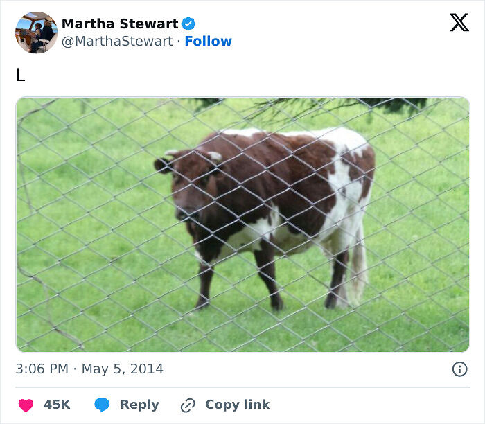 51 Celebrity Social Media Fails That The Internet Will Never, Ever Let Go Of 51 Celebrity Social Media Fails That The Internet Will Never, Ever Let Go Of