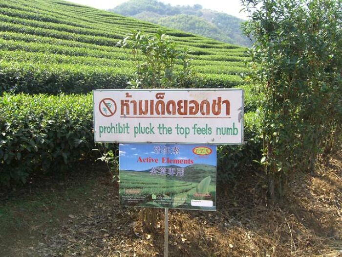 49 Translation Fails That Gave Ordinary Signs A Very Unexpected Meaning