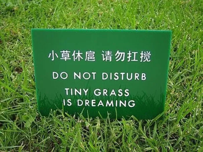 49 Translation Fails That Gave Ordinary Signs A Very Unexpected Meaning