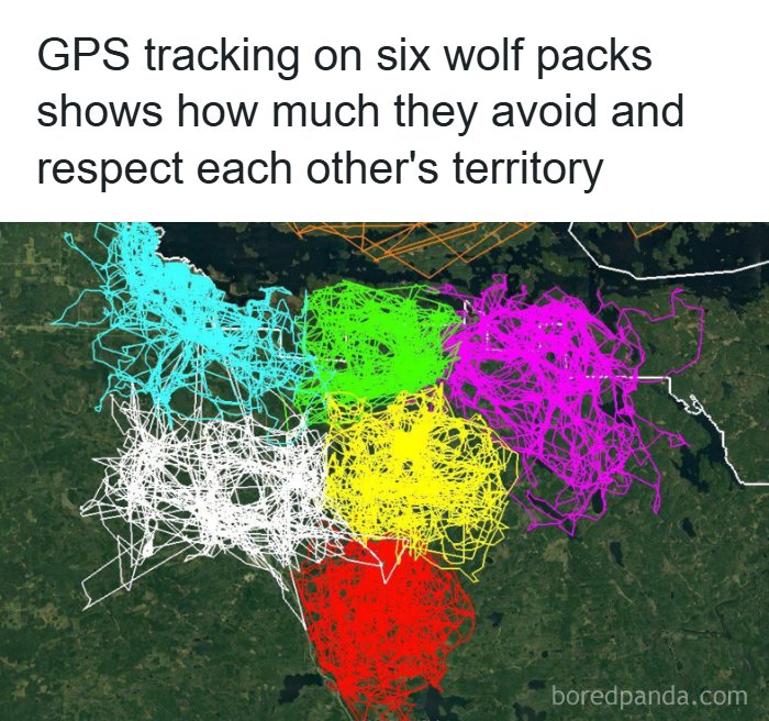 55 Interesting Facts And Posts About The World Around Us 55 Interesting Facts And Posts About The World Around Us