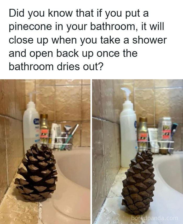 55 Interesting Facts And Posts About The World Around Us 55 Interesting Facts And Posts About The World Around Us