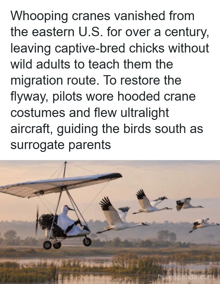 55 Interesting Facts And Posts About The World Around Us 55 Interesting Facts And Posts About The World Around Us