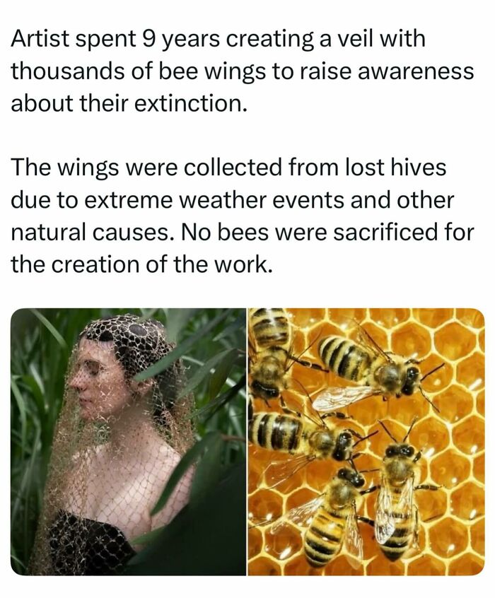 55 Interesting Facts And Posts About The World Around Us 55 Interesting Facts And Posts About The World Around Us