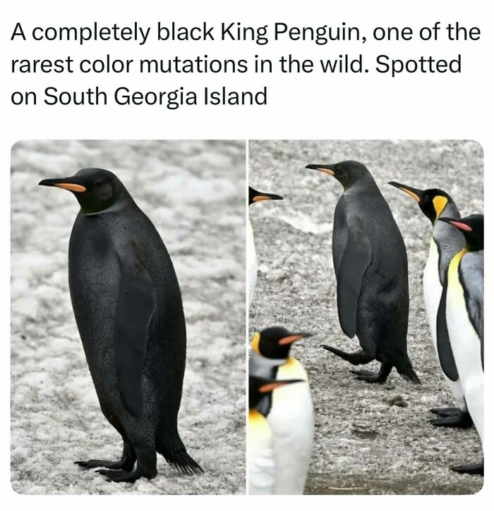 55 Interesting Facts And Posts About The World Around Us 55 Interesting Facts And Posts About The World Around Us