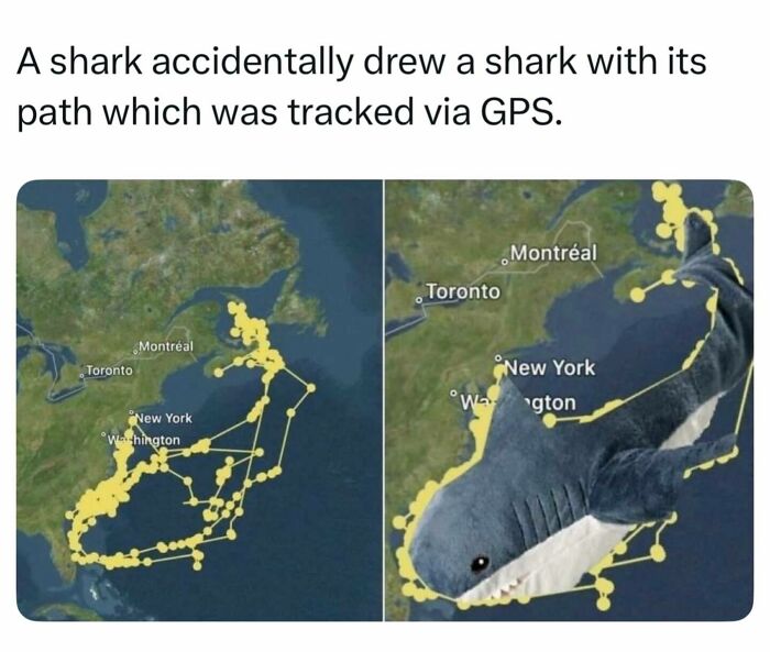 55 Interesting Facts And Posts About The World Around Us 55 Interesting Facts And Posts About The World Around Us