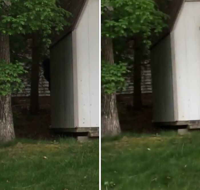 65 Creepy Photos And Stories That People Still Don’t Have A Good Explanation For 65 Creepy Photos And Stories That People Still Don’t Have A Good Explanation For