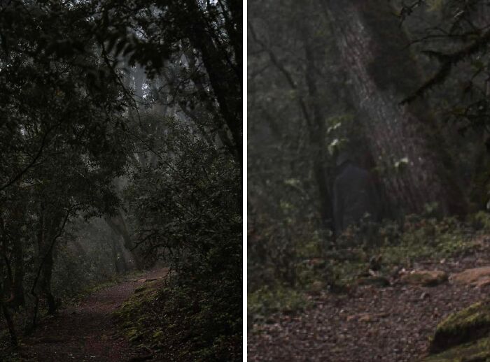65 Creepy Photos And Stories That People Still Don’t Have A Good Explanation For 65 Creepy Photos And Stories That People Still Don’t Have A Good Explanation For