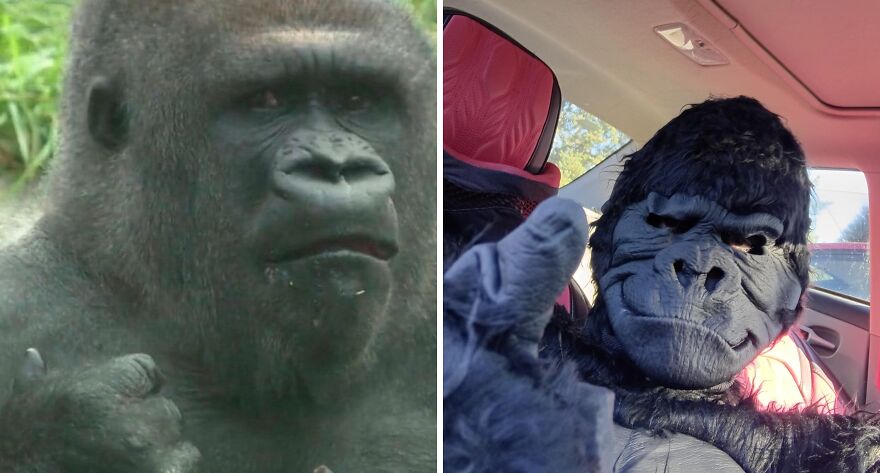 25 Low-Effort Halloween Costumes That Could Still Secure A Win At The Costume Contest