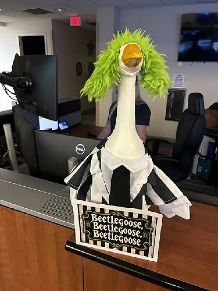 25 Low-Effort Halloween Costumes That Could Still Secure A Win At The Costume Contest
