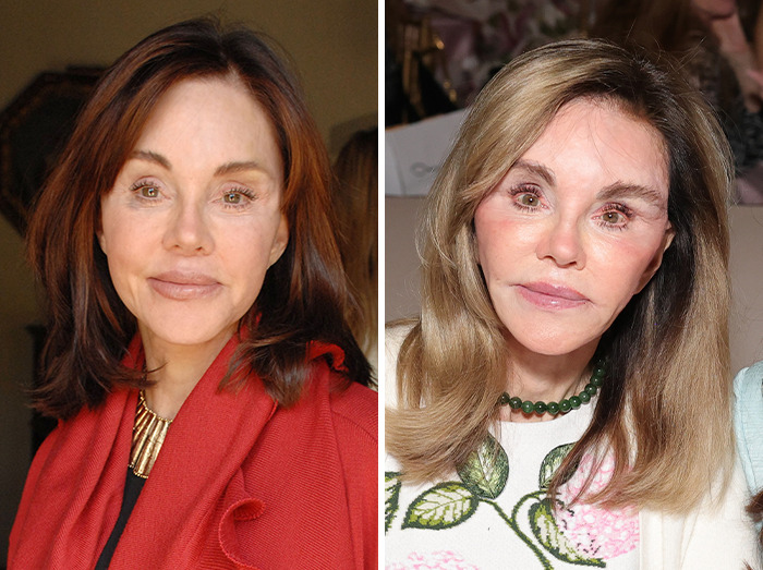 New Ambassador’s Portrait Draws Harsh Comparisons To Susan Dell As People Spot Troubling Pattern: “MAGA Face” New Ambassador’s Portrait Draws Harsh Comparisons To Susan Dell As People Spot Troubling Pattern: “MAGA Face”