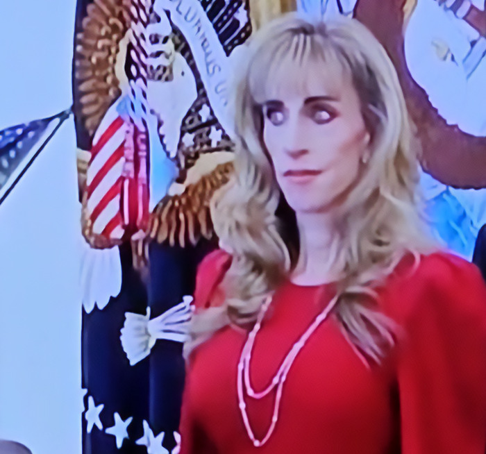 New Ambassador’s Portrait Draws Harsh Comparisons To Susan Dell As People Spot Troubling Pattern: “MAGA Face” New Ambassador’s Portrait Draws Harsh Comparisons To Susan Dell As People Spot Troubling Pattern: “MAGA Face”