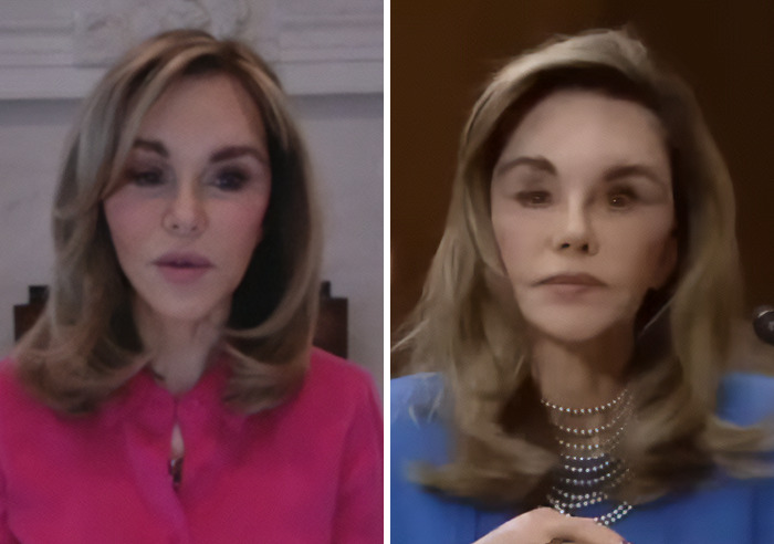 New Ambassador’s Portrait Draws Harsh Comparisons To Susan Dell As People Spot Troubling Pattern: “MAGA Face” New Ambassador’s Portrait Draws Harsh Comparisons To Susan Dell As People Spot Troubling Pattern: “MAGA Face”