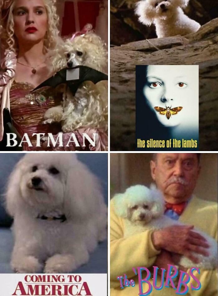 61 Posts That Prove The ’90s Really Were A Completely Different World Compared To Today (New Pics) 61 Posts That Prove The ’90s Really Were A Completely Different World Compared To Today (New Pics)