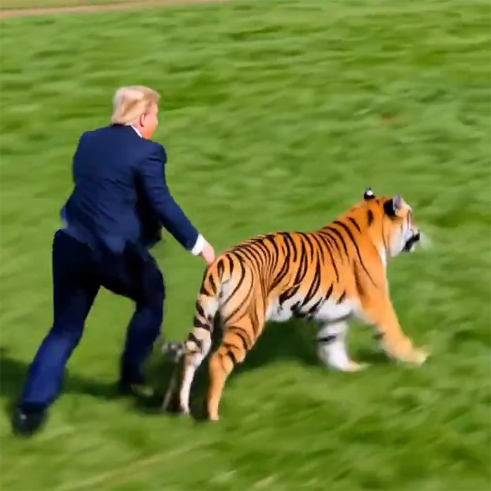 Even MAGA Turns On Trump Over “Disgusting” Tiger Video Just After Yorkshire Tragedy