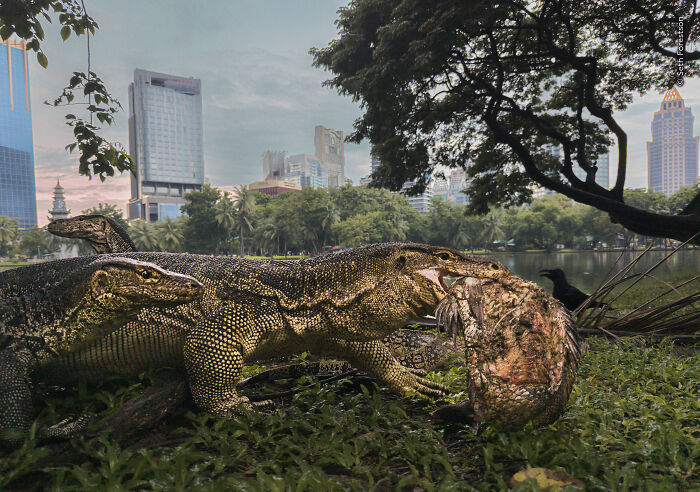 The Wildlife Photographer Of The Year 2026 Winners Are Gorgeous And Heartbreaking (19 Pics) The Wildlife Photographer Of The Year 2026 Winners Are Gorgeous And Heartbreaking (19 Pics)