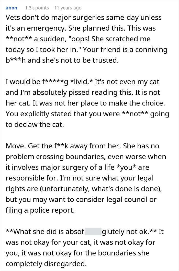 Cat Owner Comes Home To Find Her Pet With Bandaged Paws After Roommate Ignored A Clear &ldquo;No&rdquo;