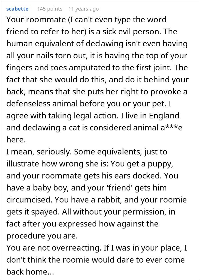 Cat Owner Comes Home To Find Her Pet With Bandaged Paws After Roommate Ignored A Clear &ldquo;No&rdquo;