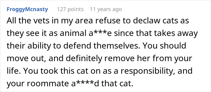 Cat Owner Comes Home To Find Her Pet With Bandaged Paws After Roommate Ignored A Clear &ldquo;No&rdquo;
