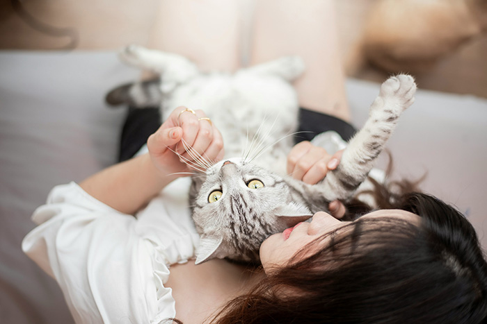 Cat Owner Comes Home To Find Her Pet With Bandaged Paws After Roommate Ignored A Clear &ldquo;No&rdquo;