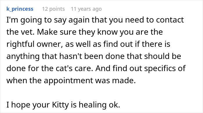 Cat Owner Comes Home To Find Her Pet With Bandaged Paws After Roommate Ignored A Clear &ldquo;No&rdquo;