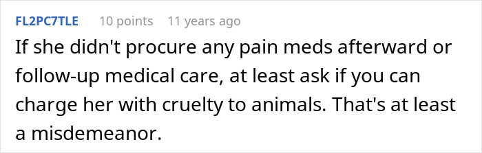 Cat Owner Comes Home To Find Her Pet With Bandaged Paws After Roommate Ignored A Clear &ldquo;No&rdquo;