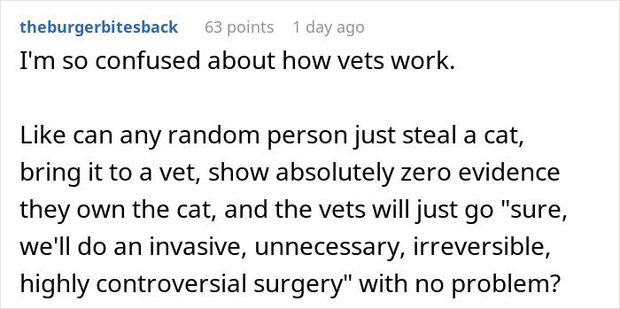 Cat Owner Comes Home To Find Her Pet With Bandaged Paws After Roommate Ignored A Clear &ldquo;No&rdquo;