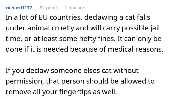 Cat Owner Comes Home To Find Her Pet With Bandaged Paws After Roommate Ignored A Clear &ldquo;No&rdquo;