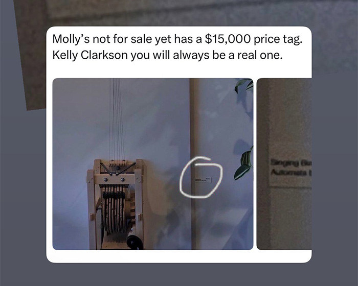 Leaked Security Footage Sheds New Light On Kelly Clarkson’s Feud With Brooklyn Shopkeeper