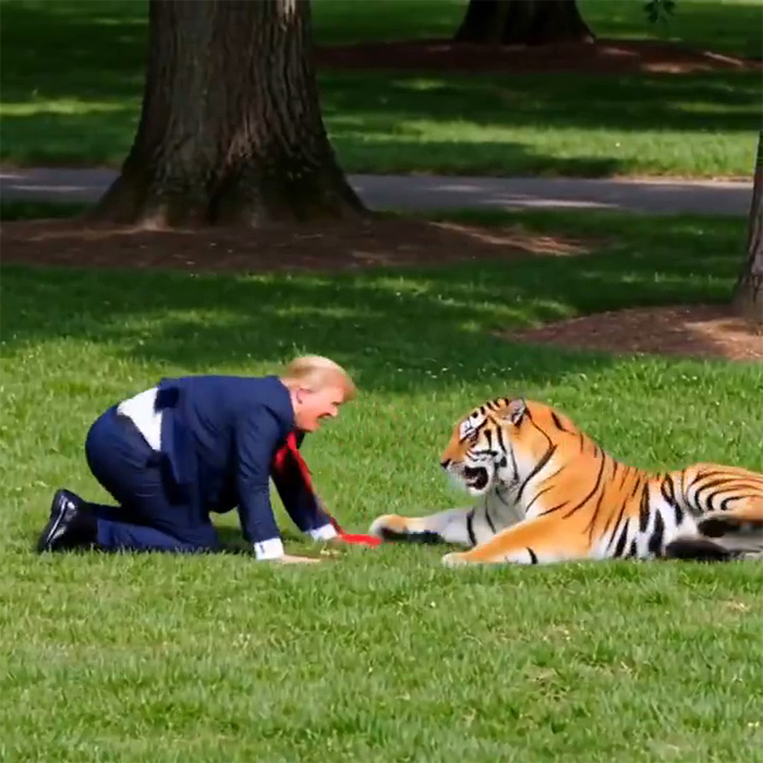 Family Of Man Who Tragically Entered Tiger Enclosure Breaks Silence After Trump’s Scandalous Video
