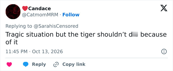 Family Of Man Who Tragically Entered Tiger Enclosure Breaks Silence After Trump’s Scandalous Video