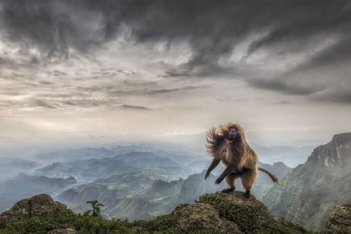 Here Are The Best 70 Pics Of 2026, As Shared By Siena International Photo Awards