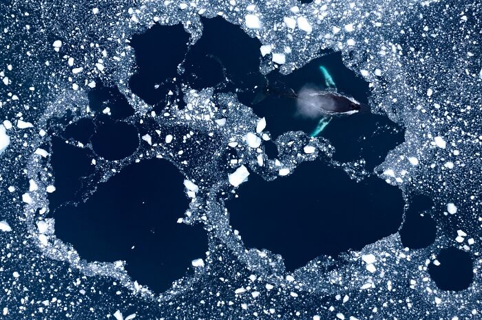 Here Are The Best 70 Pics Of 2026, As Shared By Siena International Photo Awards
