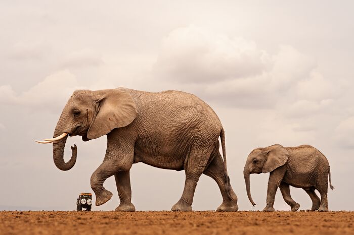 Here Are The Best 70 Pics Of 2026, As Shared By Siena International Photo Awards