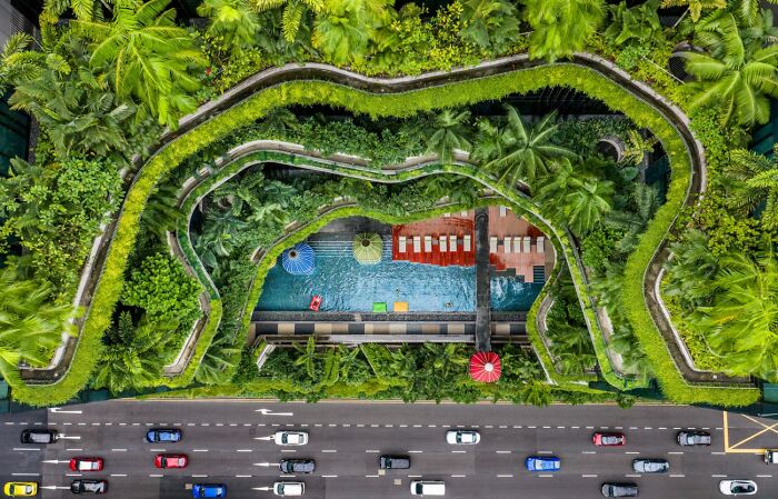 Here Are The Best 70 Pics Of 2026, As Shared By Siena International Photo Awards
