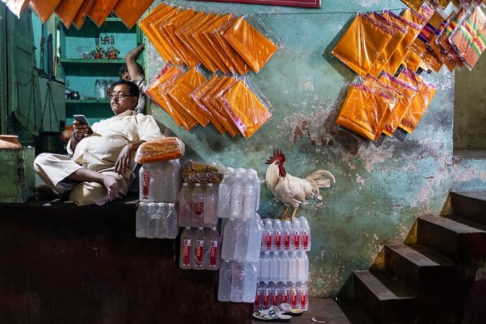 Here Are The Best 70 Pics Of 2026, As Shared By Siena International Photo Awards