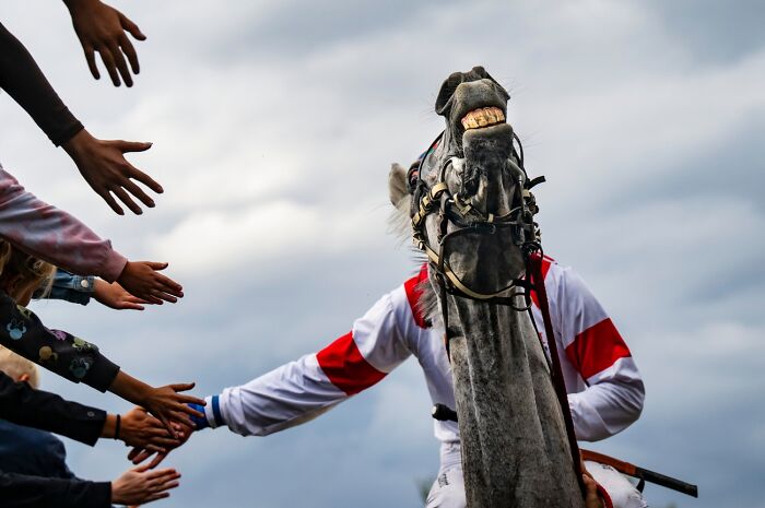 Here Are The Best 70 Pics Of 2026, As Shared By Siena International Photo Awards