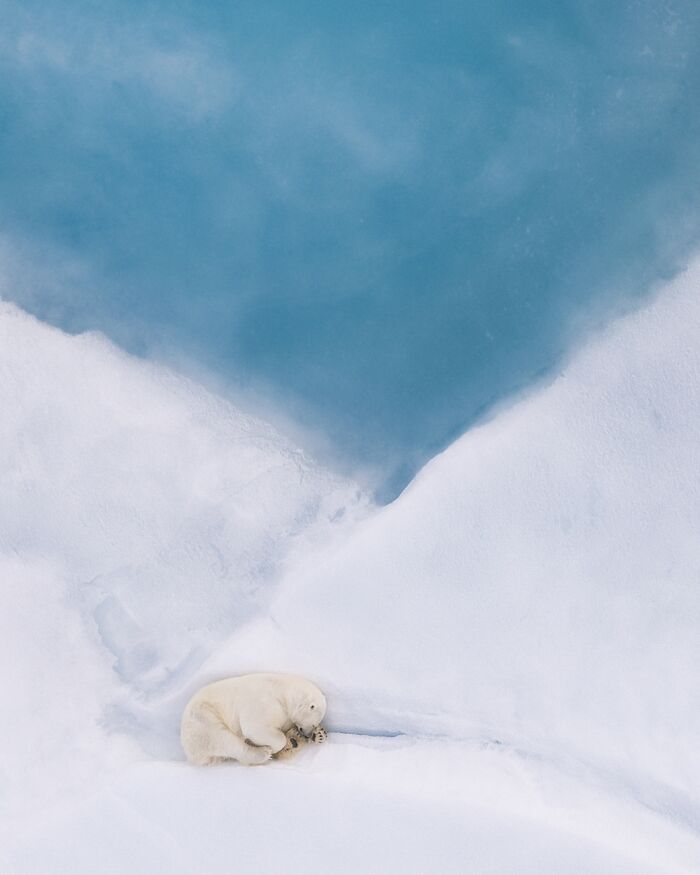Here Are The Best 70 Pics Of 2026, As Shared By Siena International Photo Awards
